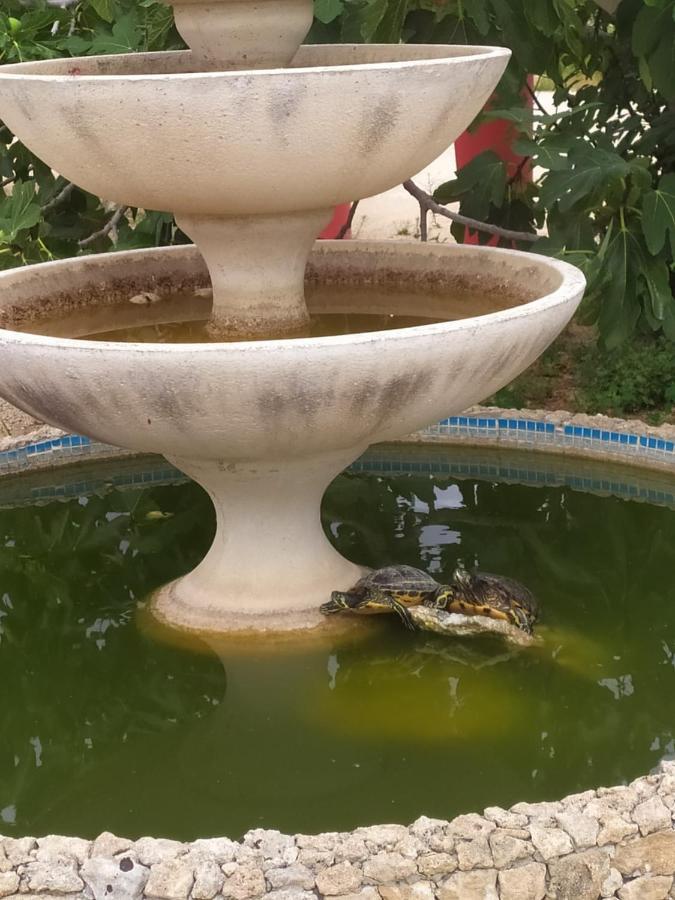غالاتوني B&B La Seta Rossa المظهر الخارجي الصورة